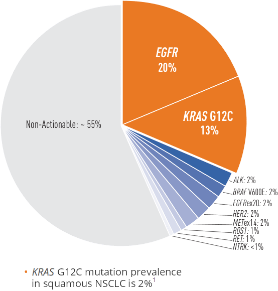 Prevalence of oncogenic mutations in lung adenocarcinomas