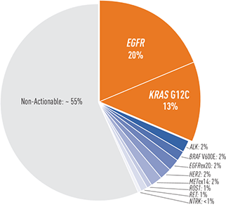 Prevalence of oncogenic mutations in lung adenocarcinomas