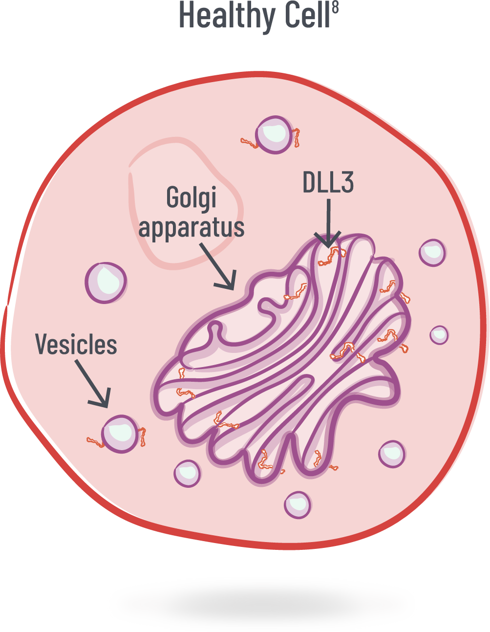 healthy cell