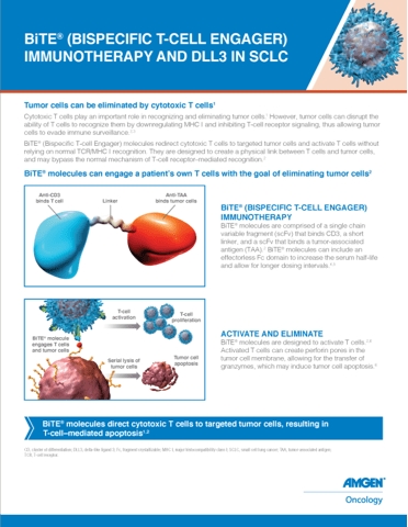 Download DLL3 factsheet