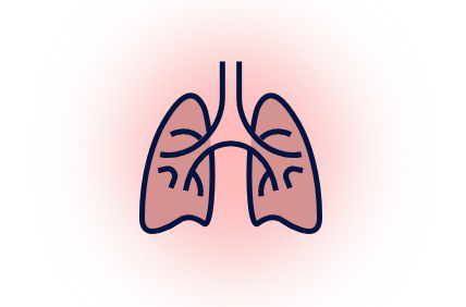 Lungs