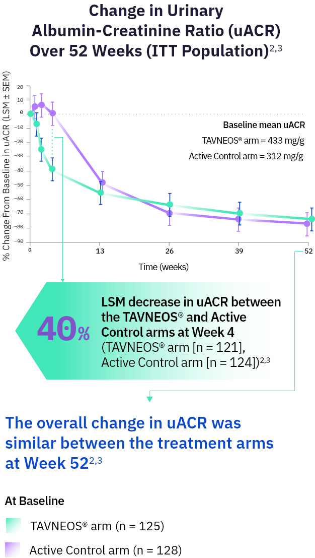 TAVNEOS® (avacopan) vs Active Control LSM graph showing  Change in Urinary Albumin-Creatinine Ratio (uACR) Over 52 Weeks (ITT Population)