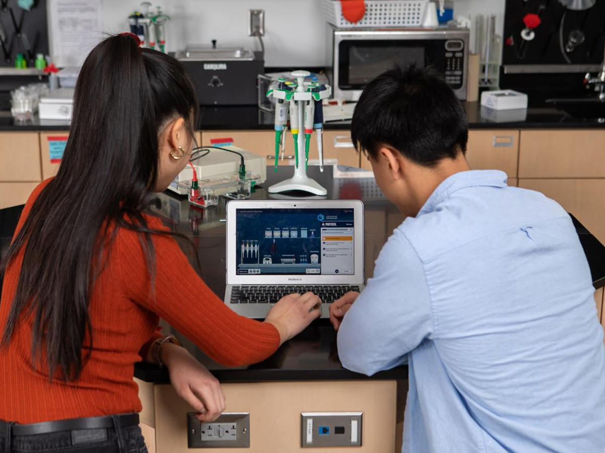 Two students working together on a computer with their backs to the camera