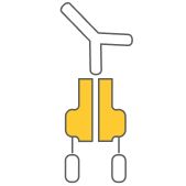 igf-1r-icon