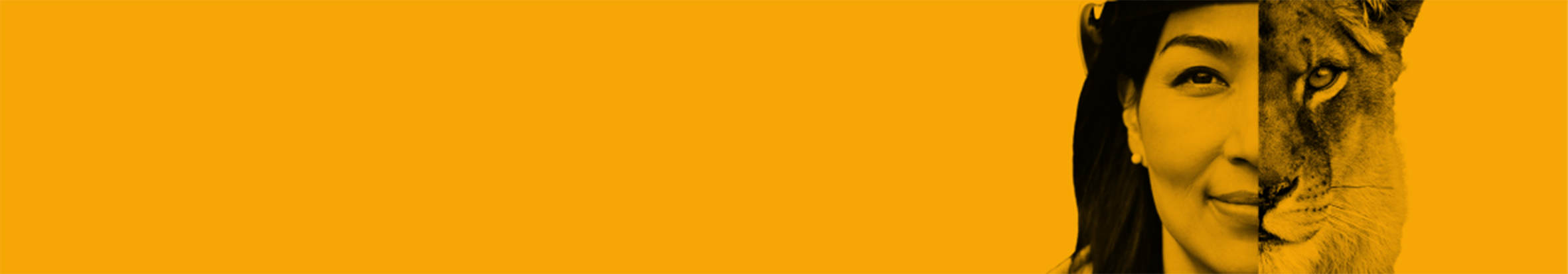 resources-support-banner