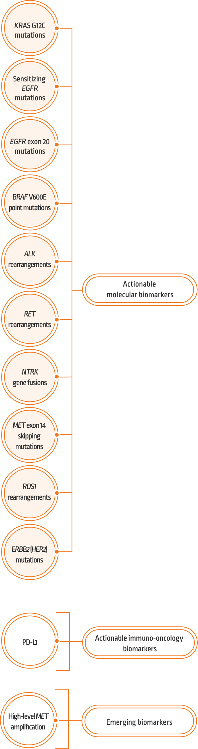NSCLC treatments and targeted therapies