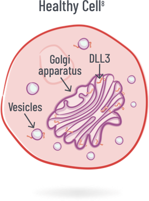 healthy cell