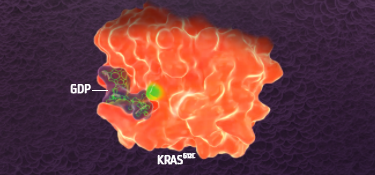 KRAS-G12C-mobile.png