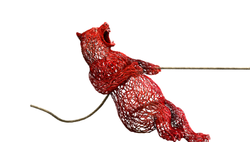 tug-war-bear-banner-sm