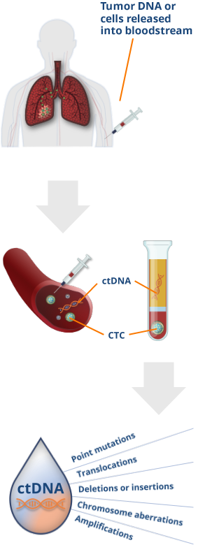liquid-biopsy-desktop