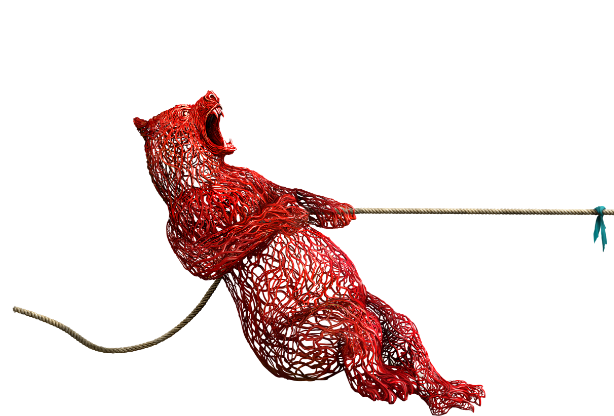 tug-war-bear-banner