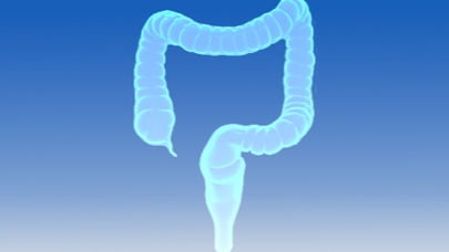 Large intestine