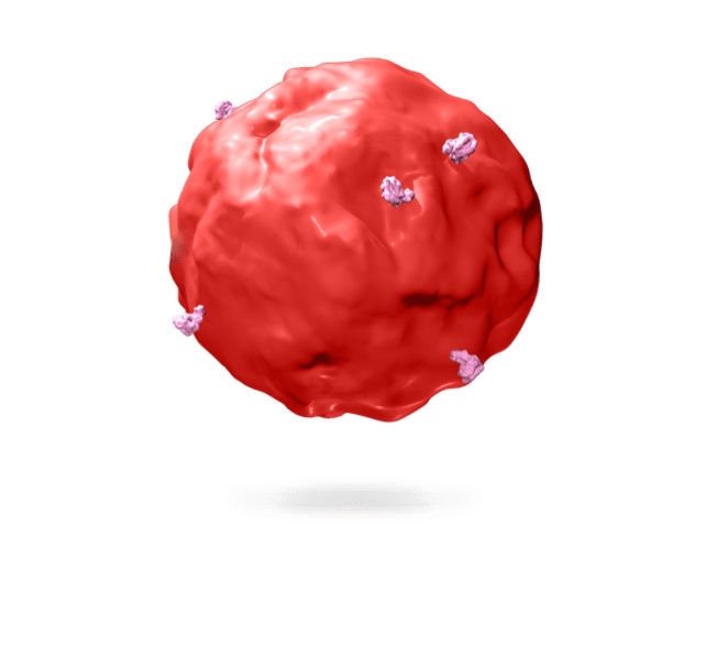 Tumor cell