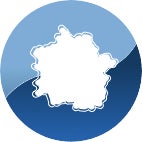 KRAS panel include KRAS, as well as its variant KRAS G12C