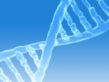 KRAS G12C molecular testing - mobile