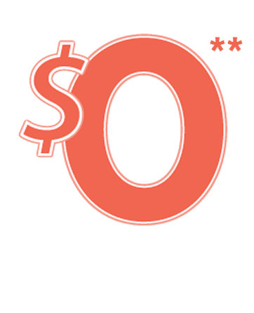 zero dollar