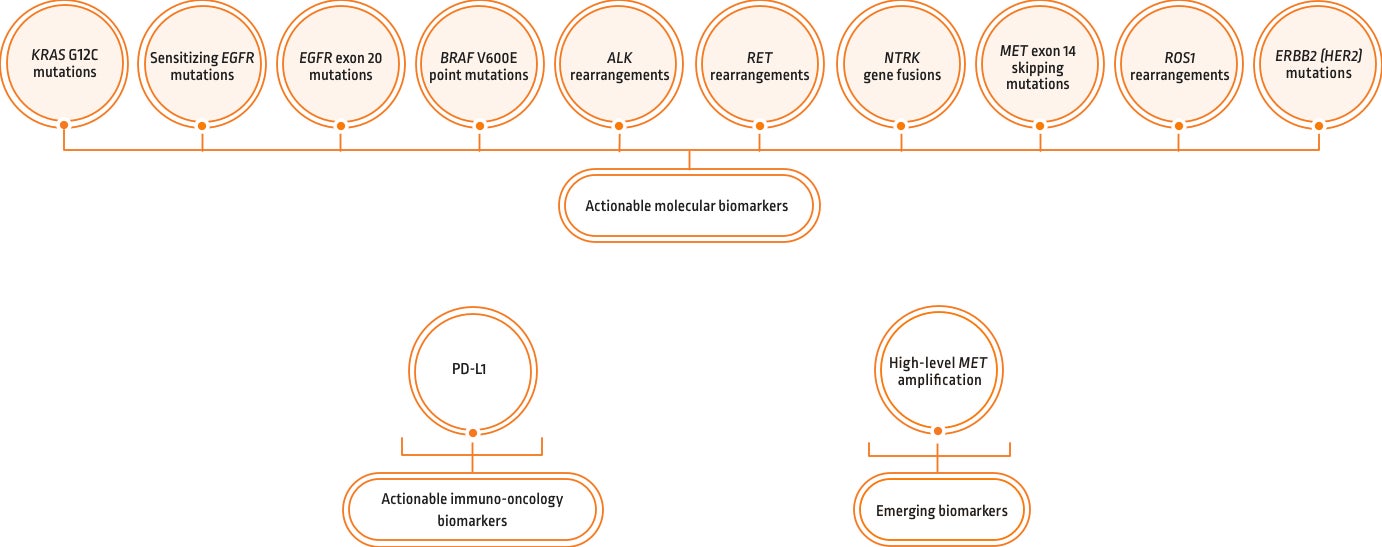 NSCLC treatments and targeted therapies