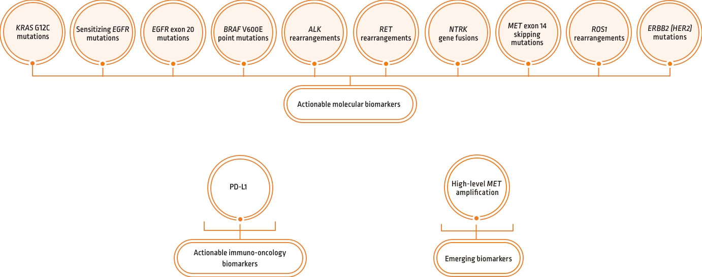 NSCLC treatments and targeted therapies