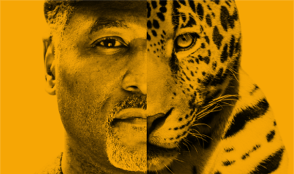 how-vectibix-works-dt