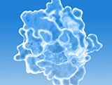 KRAS G12C molecule mobile